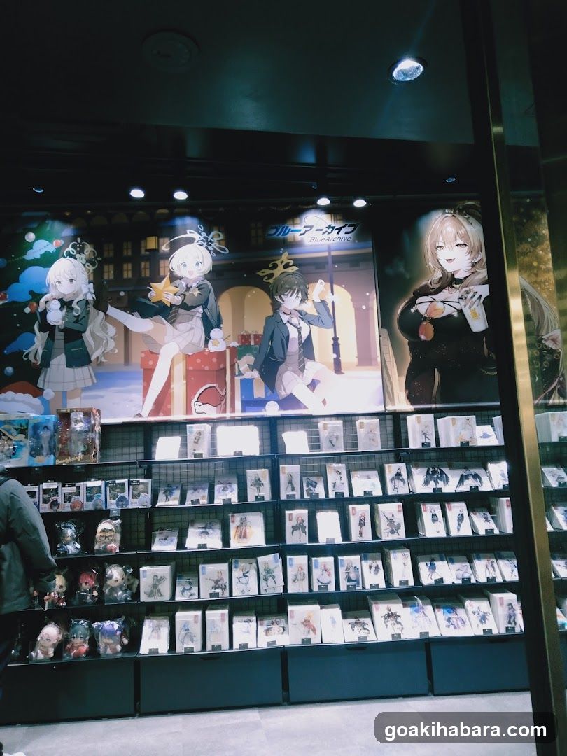 Anime Merchandise Display