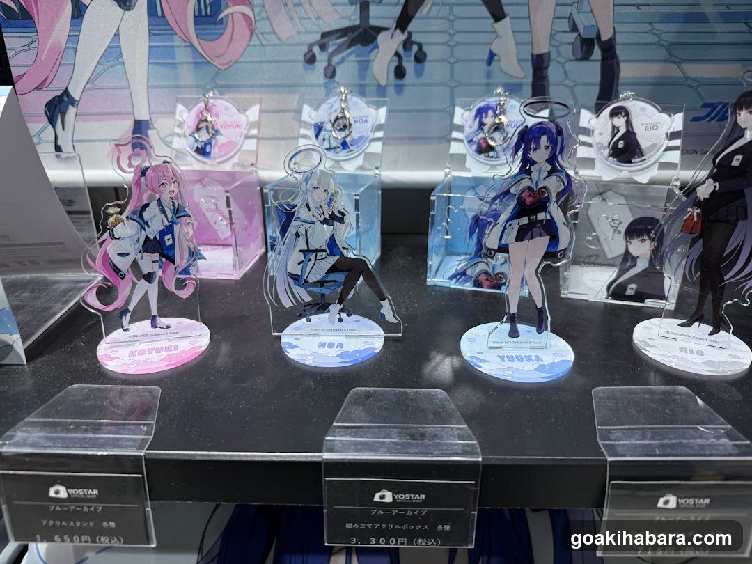 Anime Merchandise Display