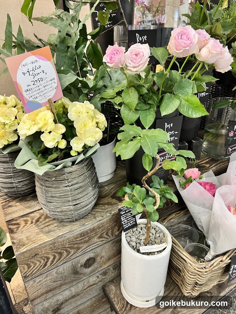 Flower Shop Display