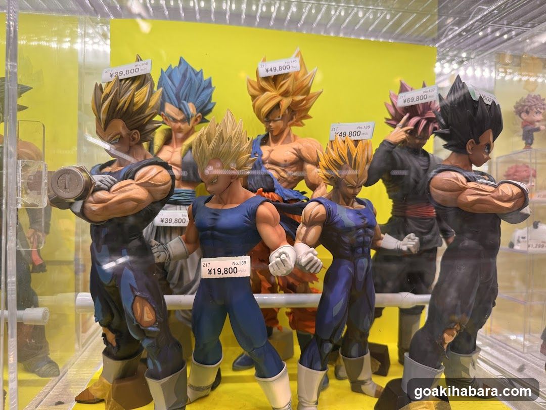 Dragon Ball Z Action Figures Display