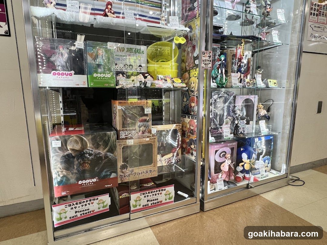 Toy and Figure Display Case