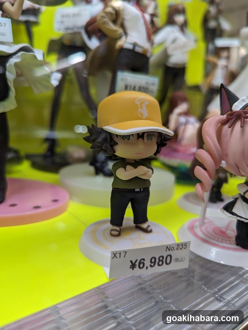 Anime Figure Display