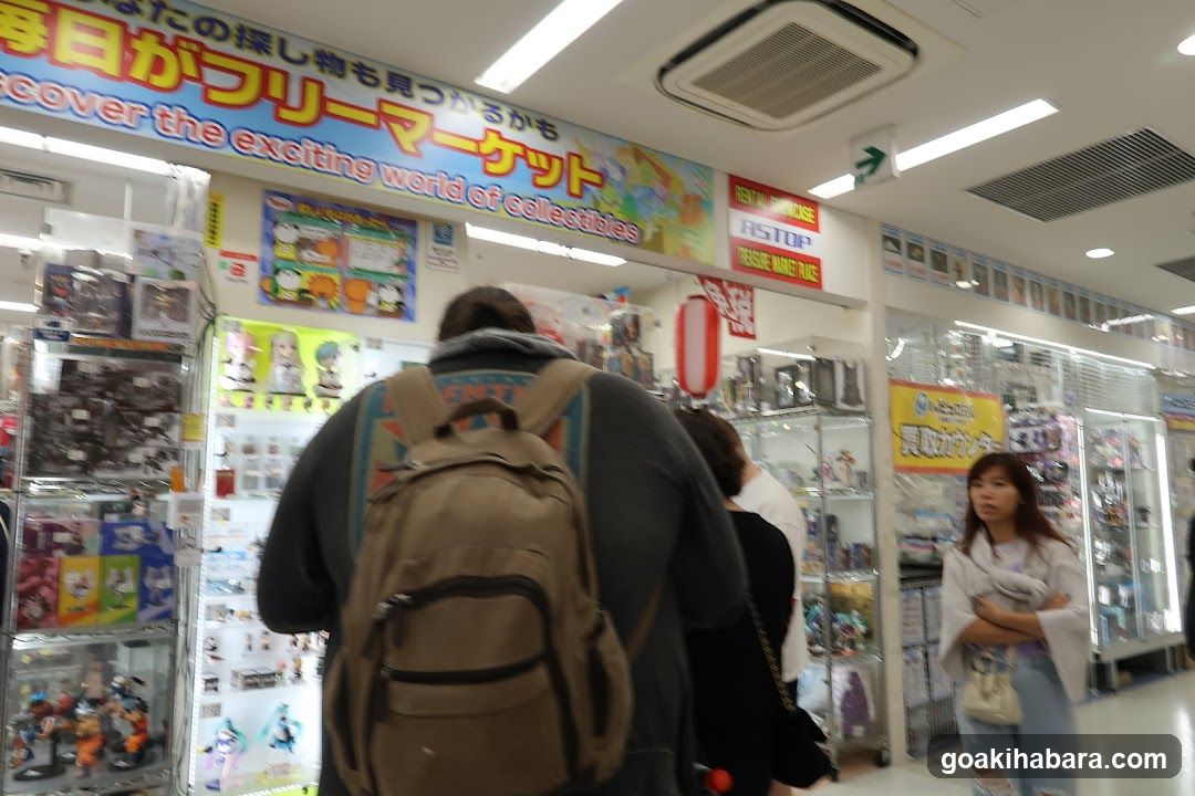 Collectibles Store Interior