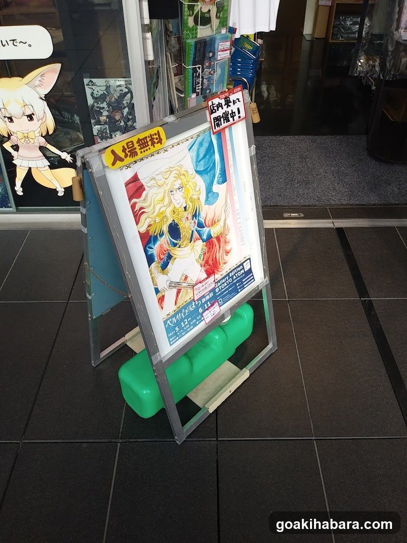 Anime Poster Display