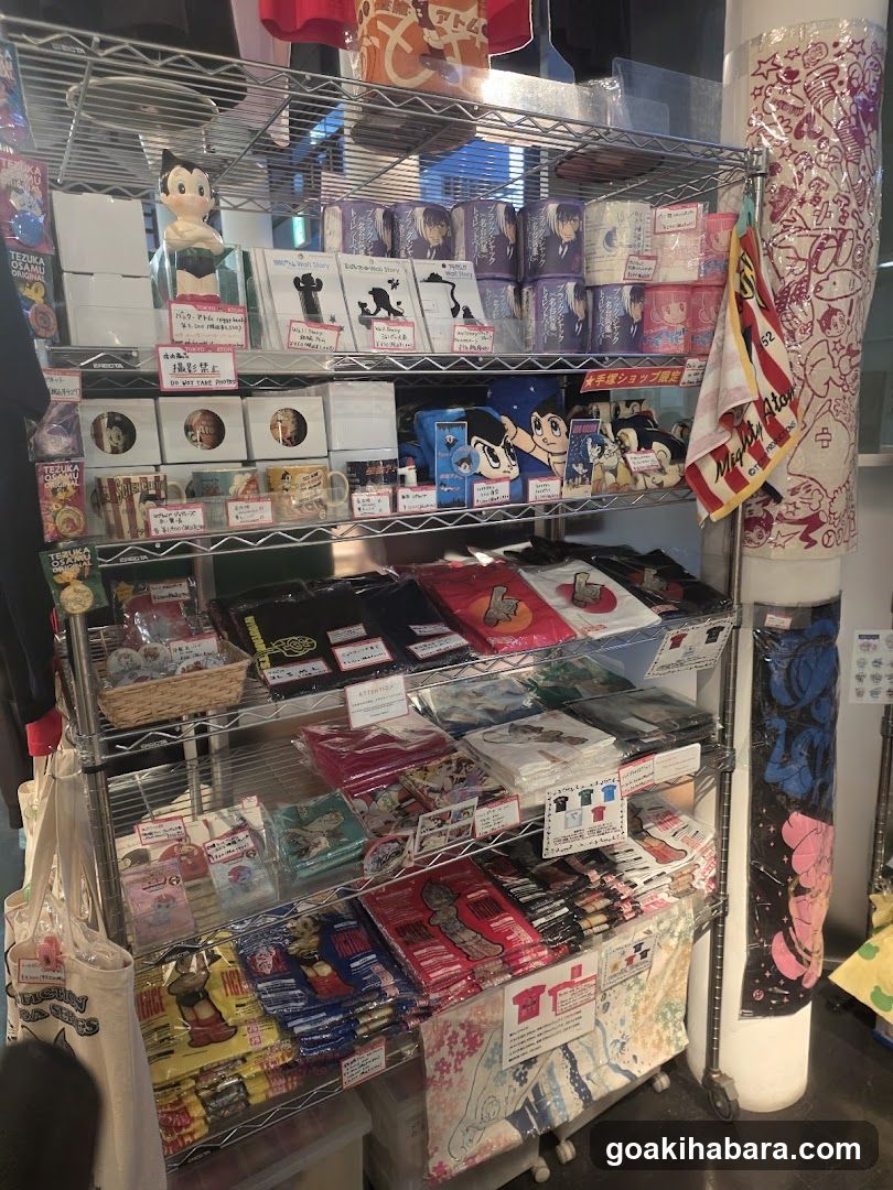 Merchandise Shelf Display