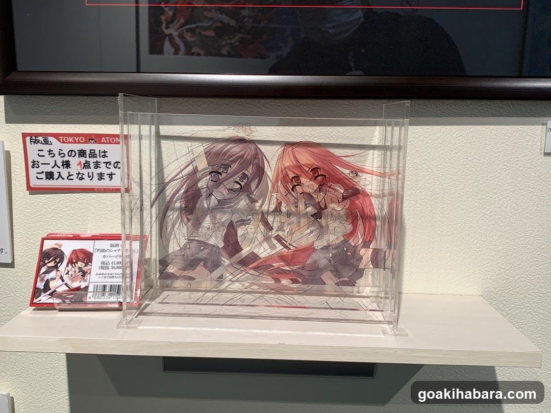 Anime Merchandise Display