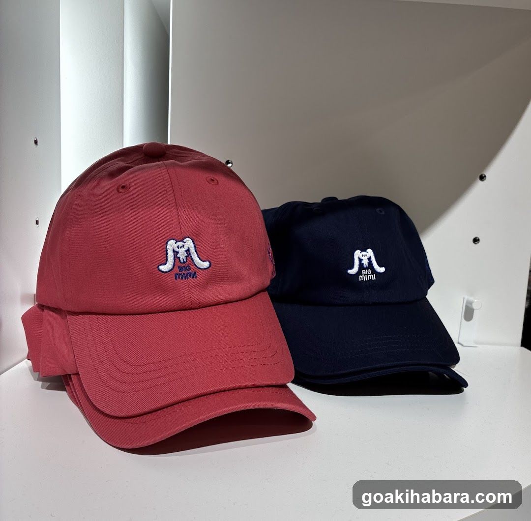 Hats Display