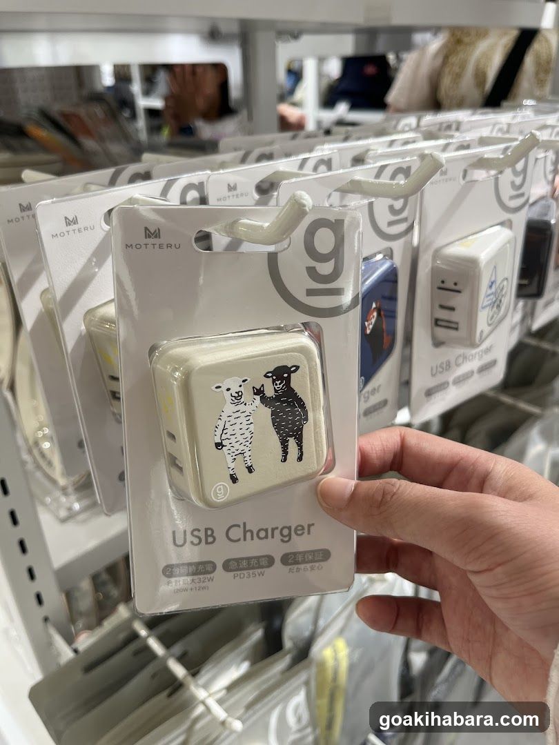 USB Charger Display