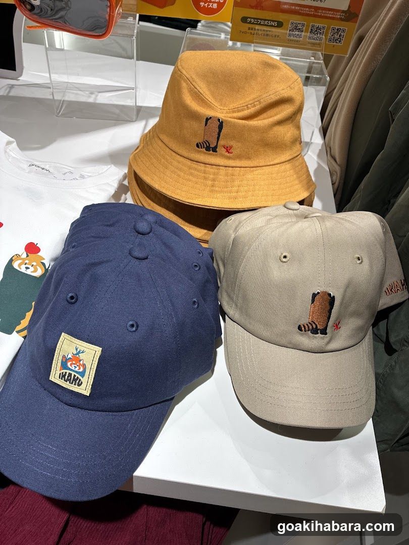 Hat Display