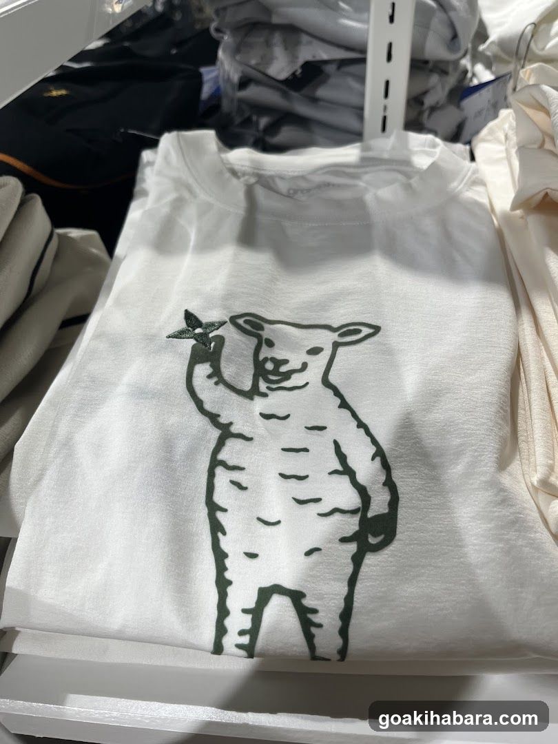 Llama T-Shirt Display