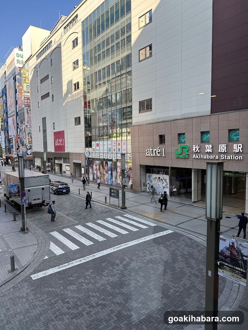 Akihabara Station Street View