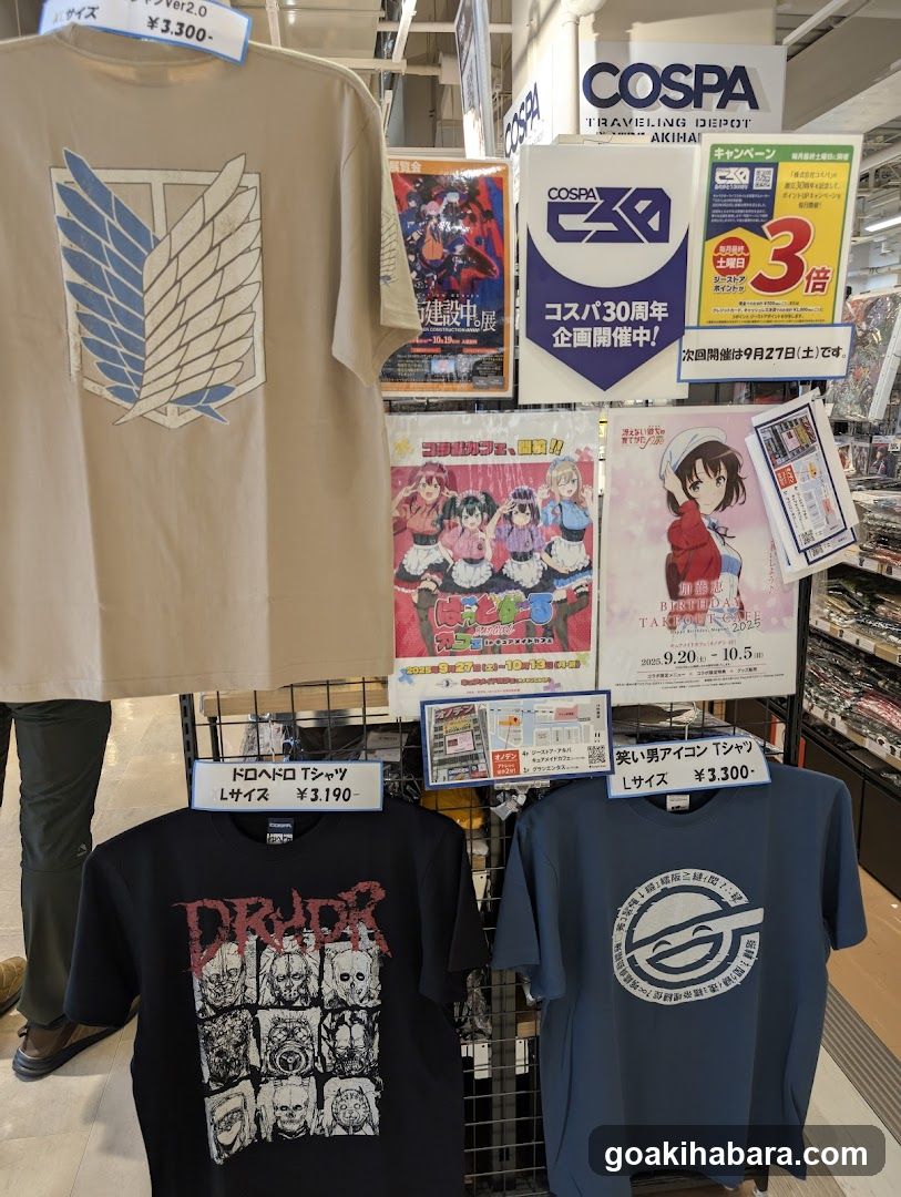 Anime Merchandise Display