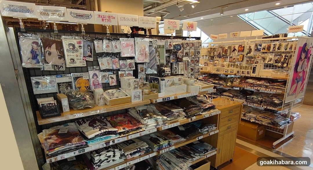 Merchandise Store Interior