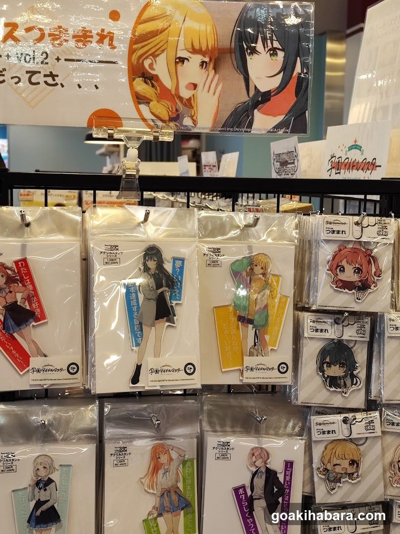 Anime Merchandise Display