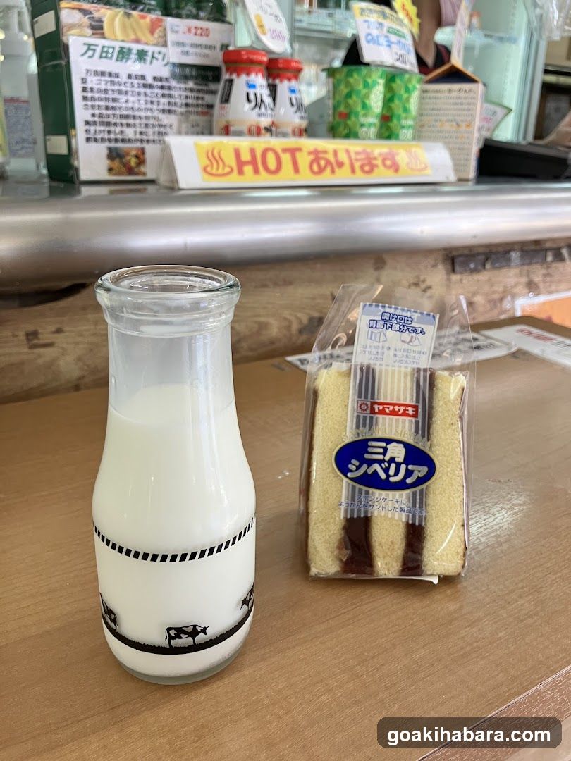 Milk and Sandwich on Counter