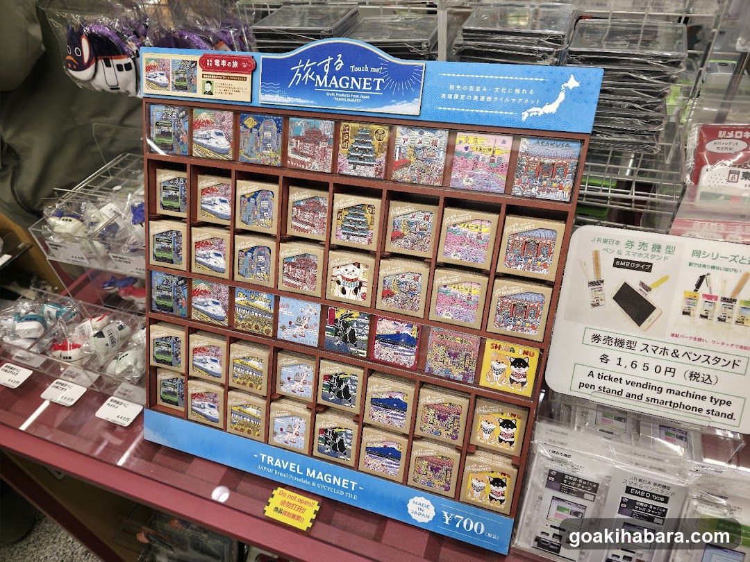 Travel Magnet Display