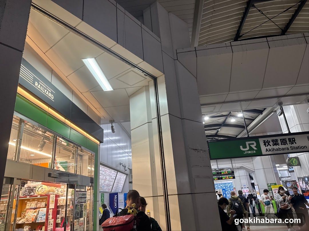 Akihabara Station Interior View