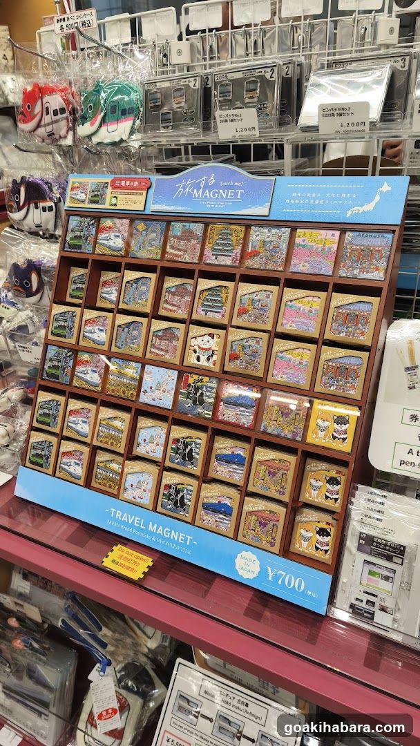 Travel Magnet Display