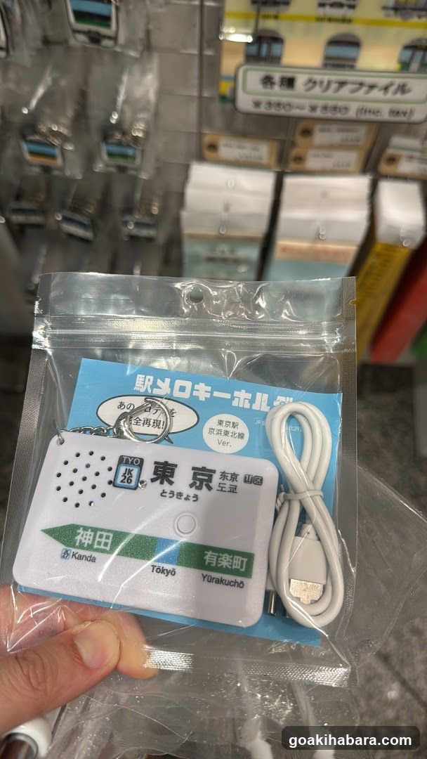 Tokyo Station Keychain