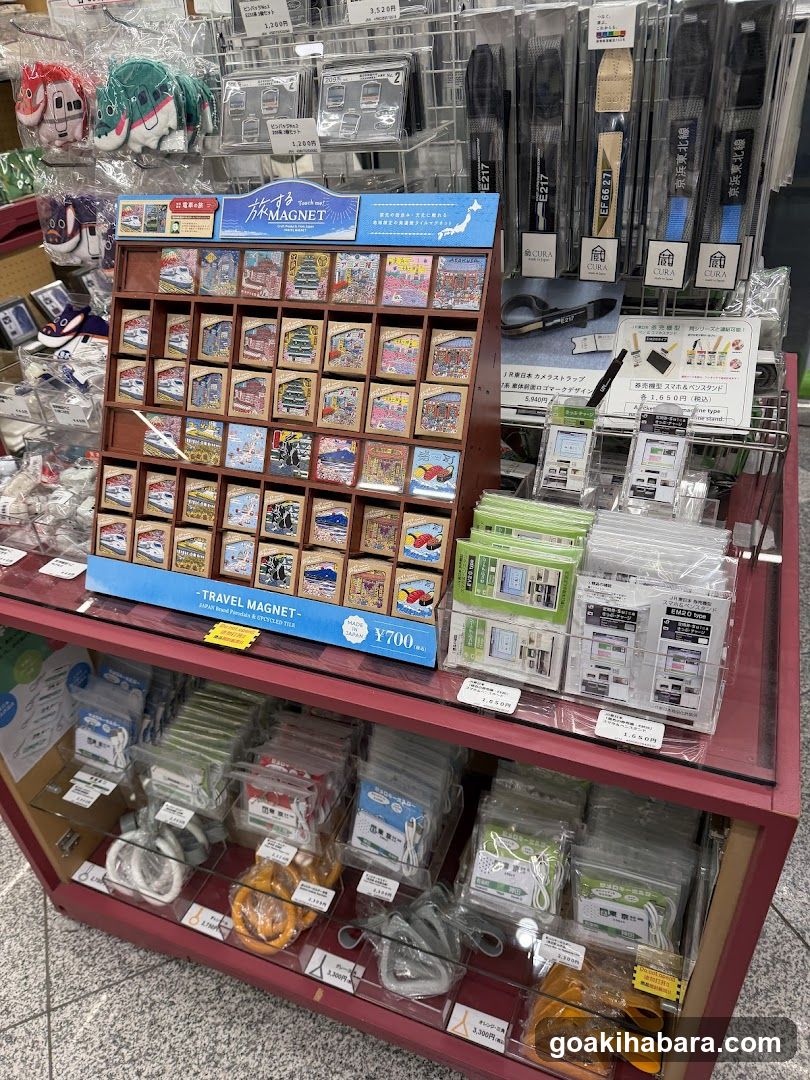Travel Magnet Display