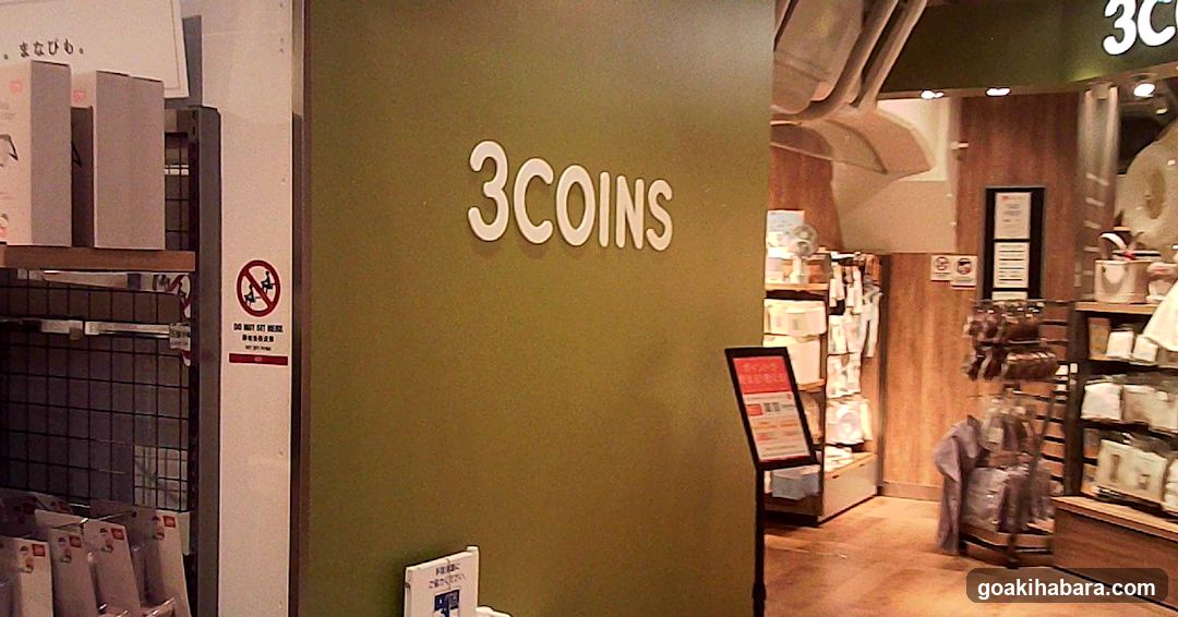 3COINS Store Interior View