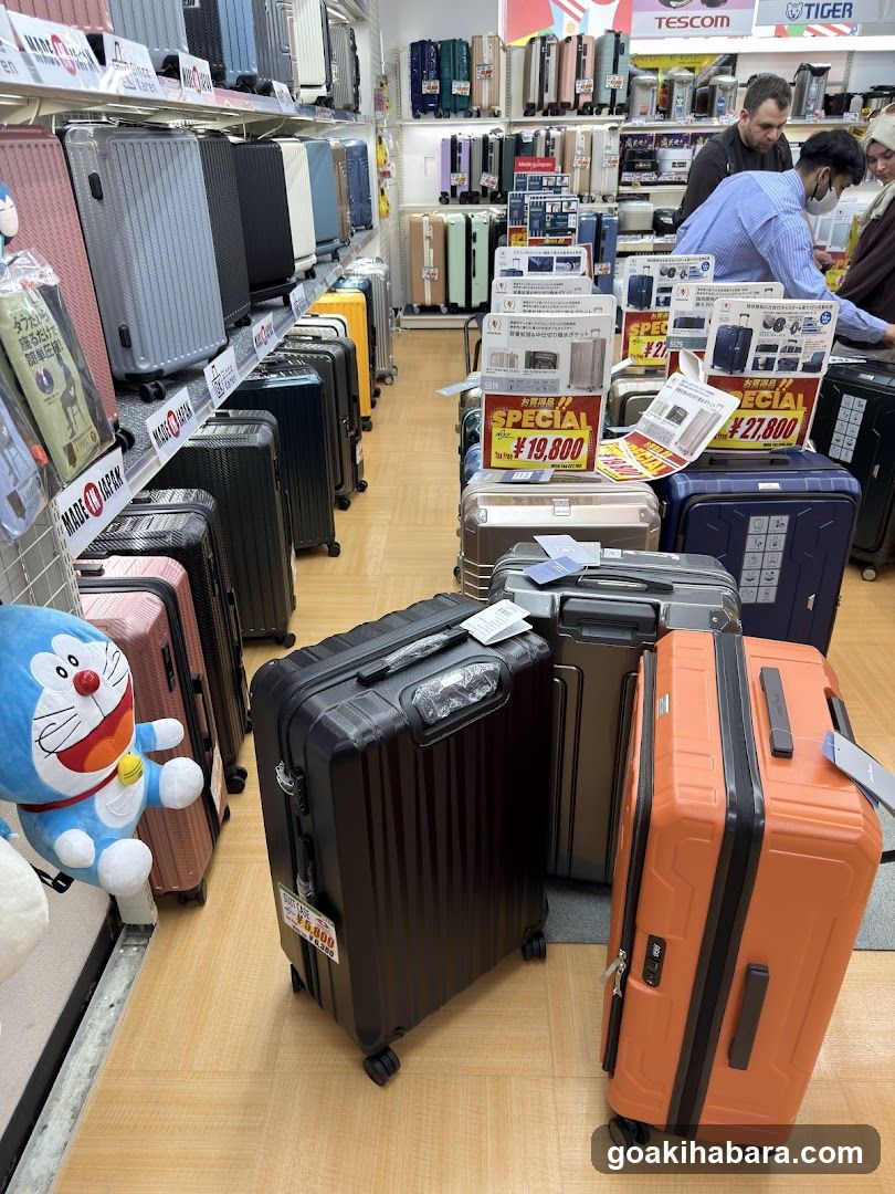 Luggage Store Interior