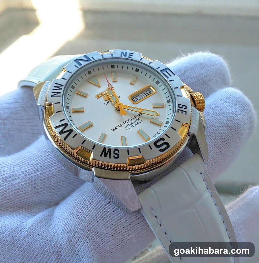 Luxury Watch Display