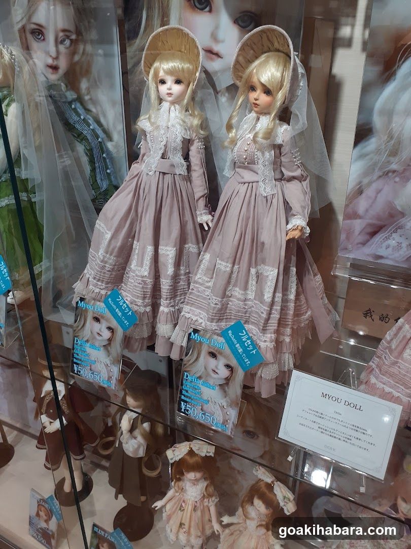 Doll Display Case
