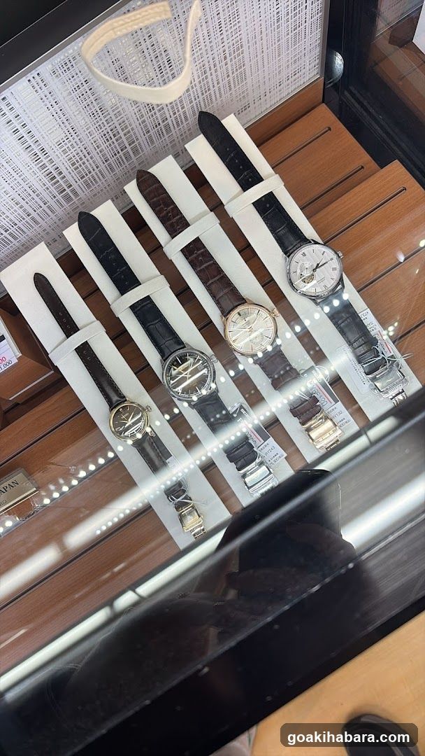 Watch Display Case