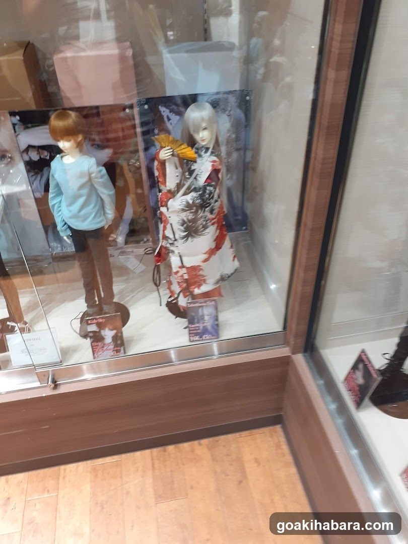 Doll Display Case
