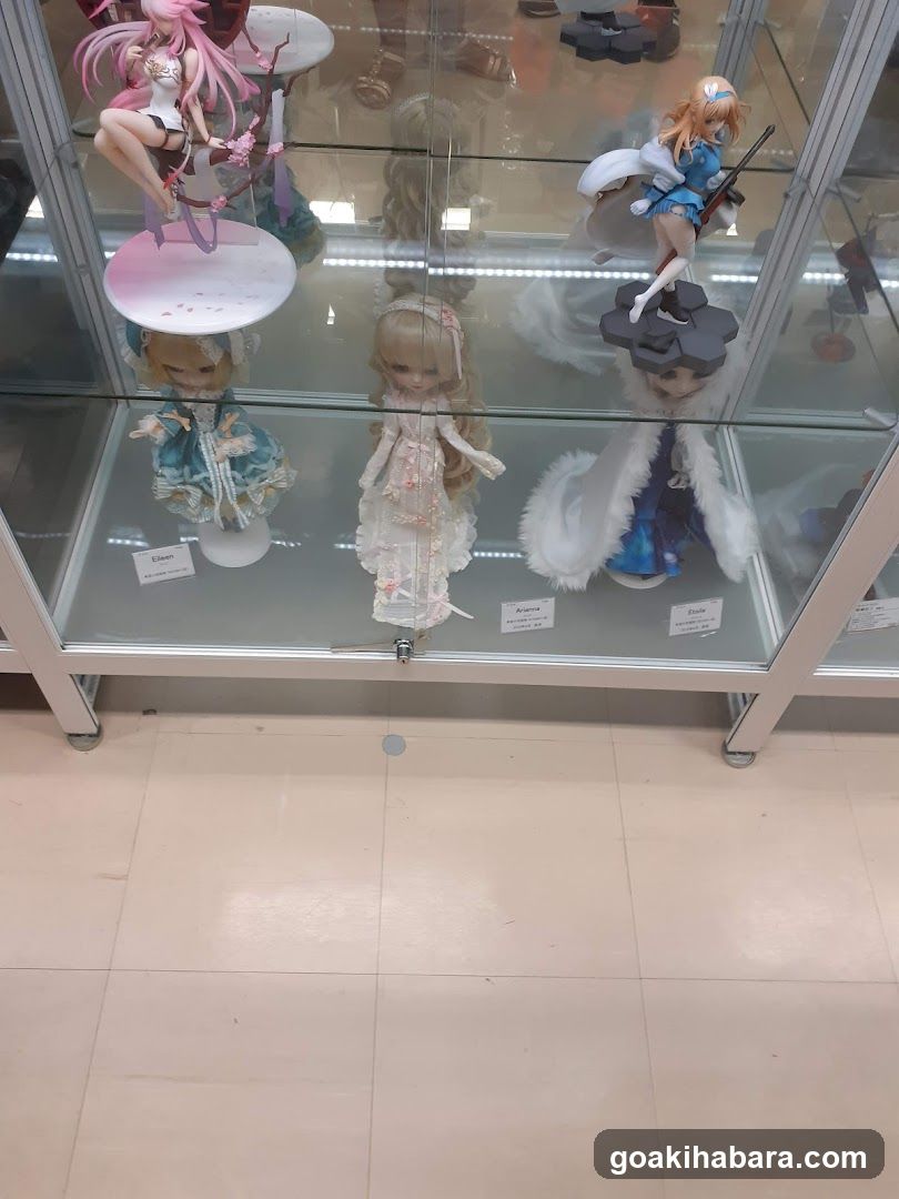 Figure Display Case