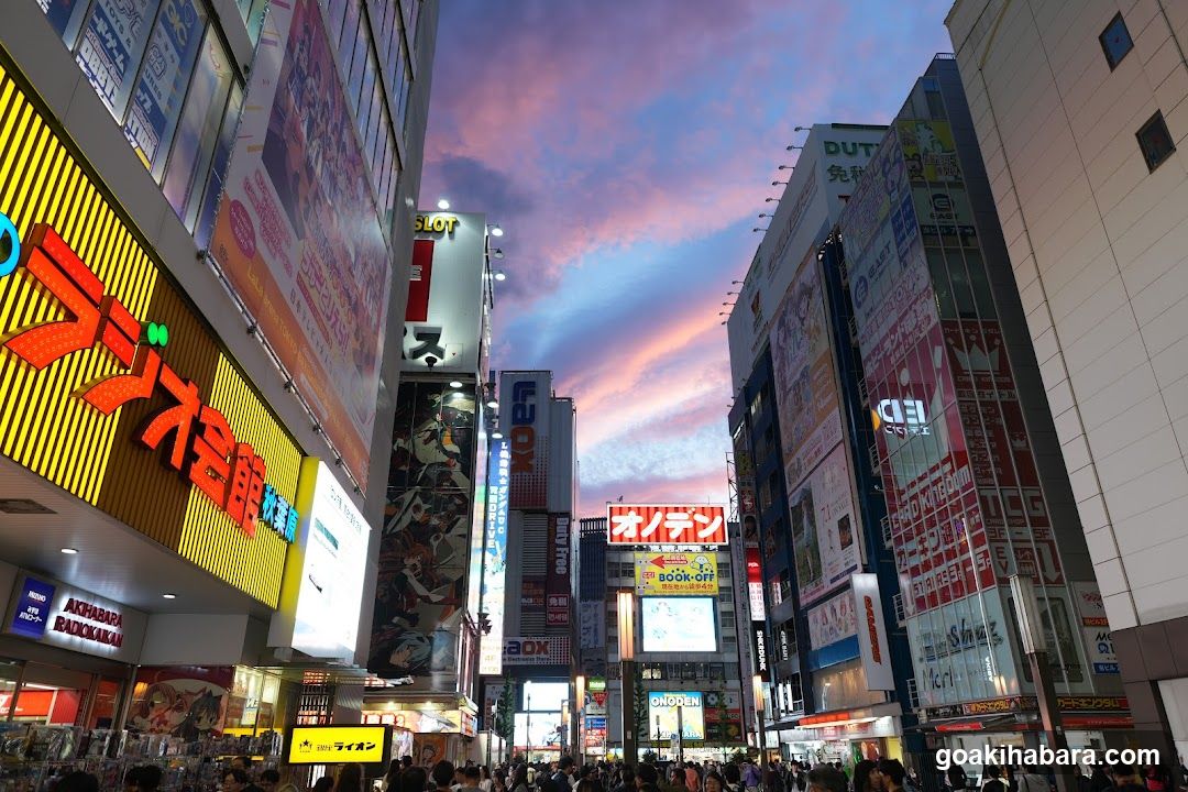 Dotonbori Skyline at Dusk