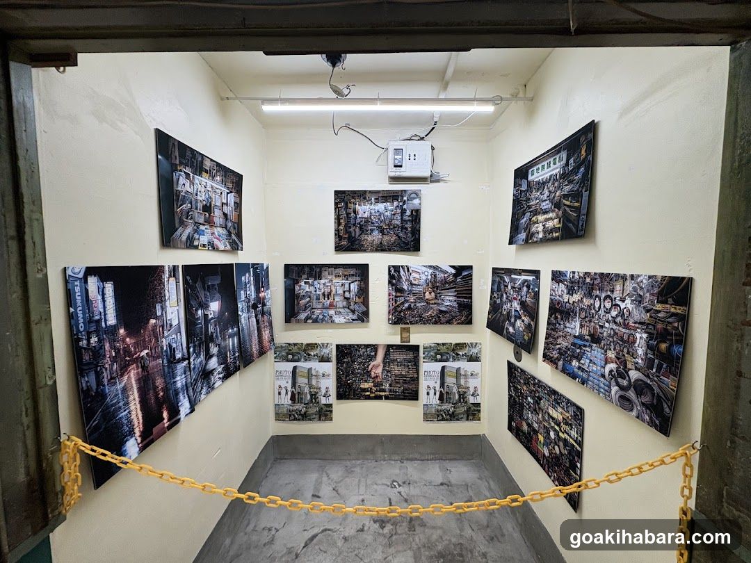 Urban Nightlife Gallery