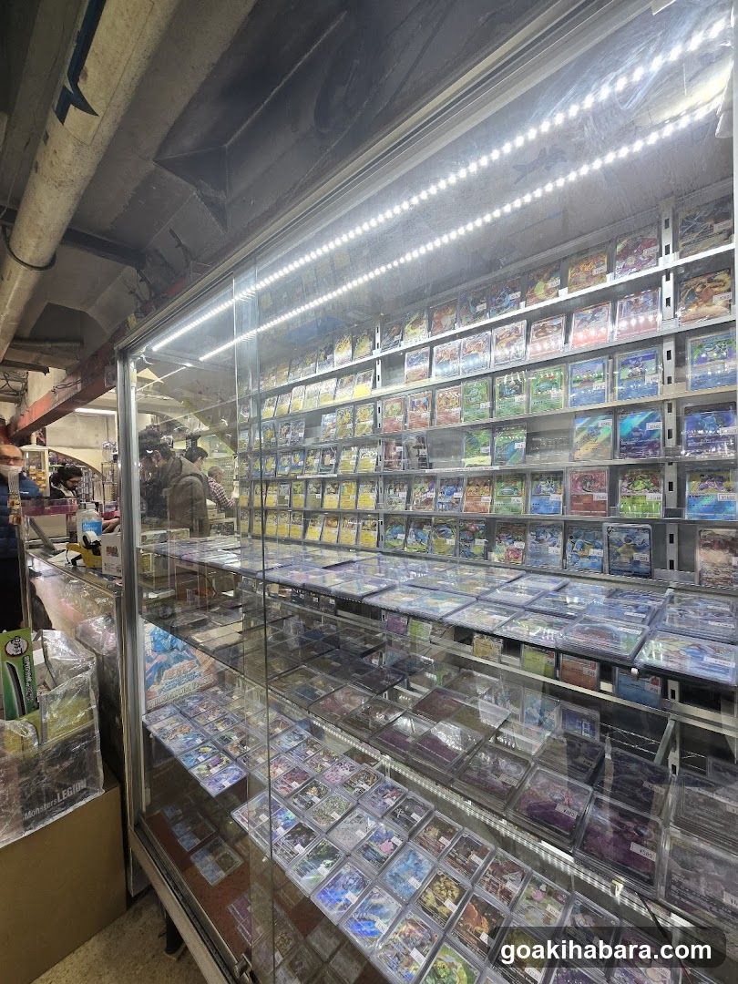 Card Game Display Case