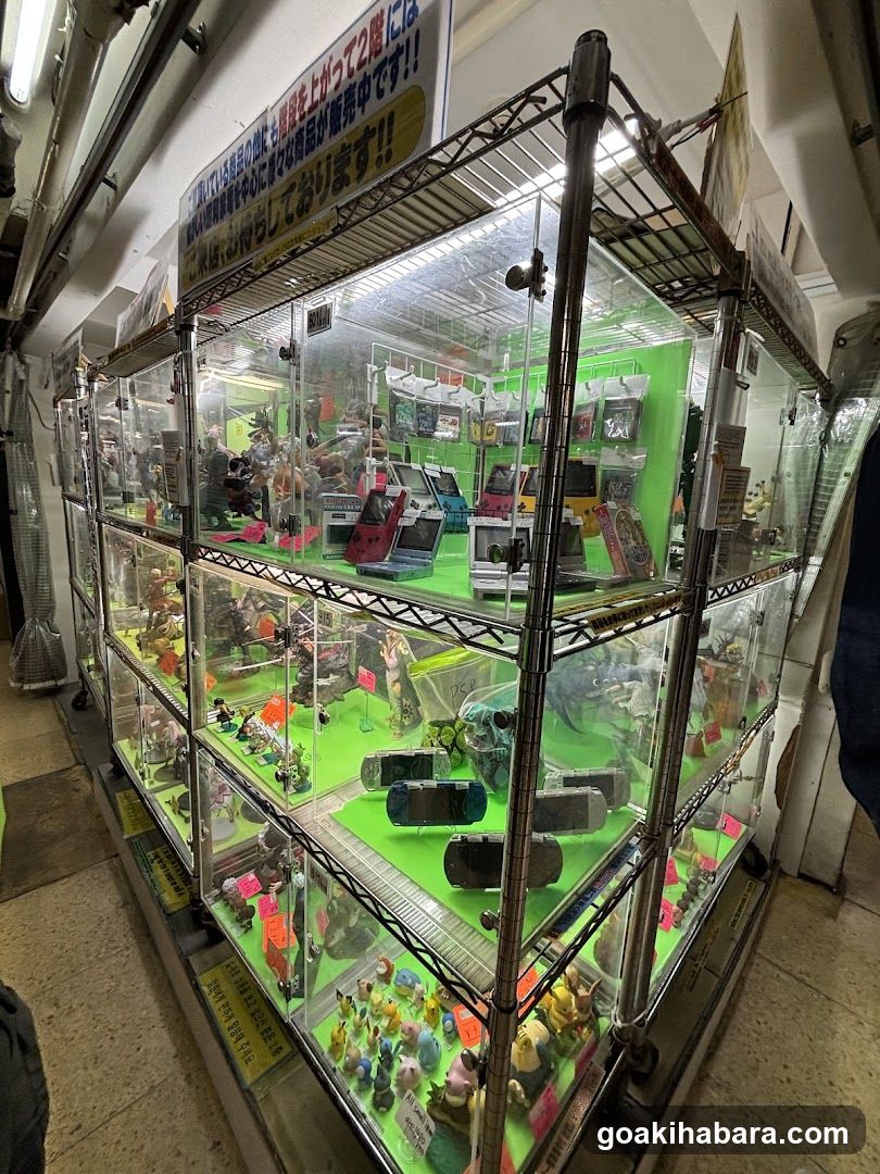 Toy Display Case