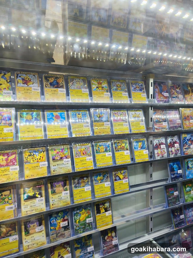 Pokemon Card Display Shelf