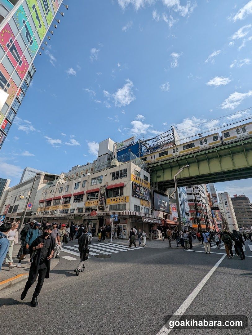 Urban Street Scene with Elevated Train