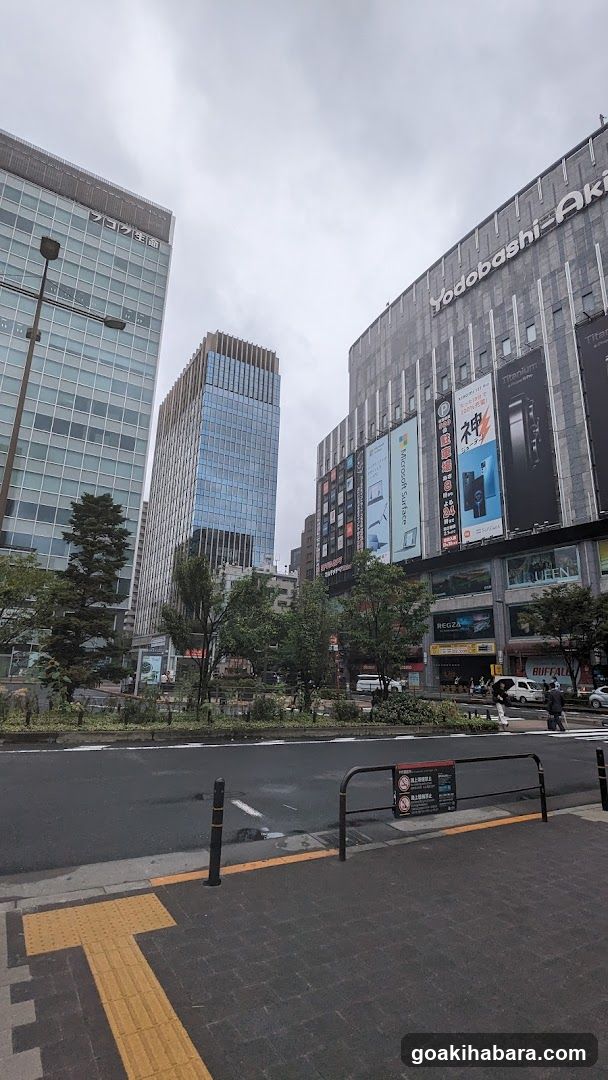 Yodobashi Camera Akabeko Street View