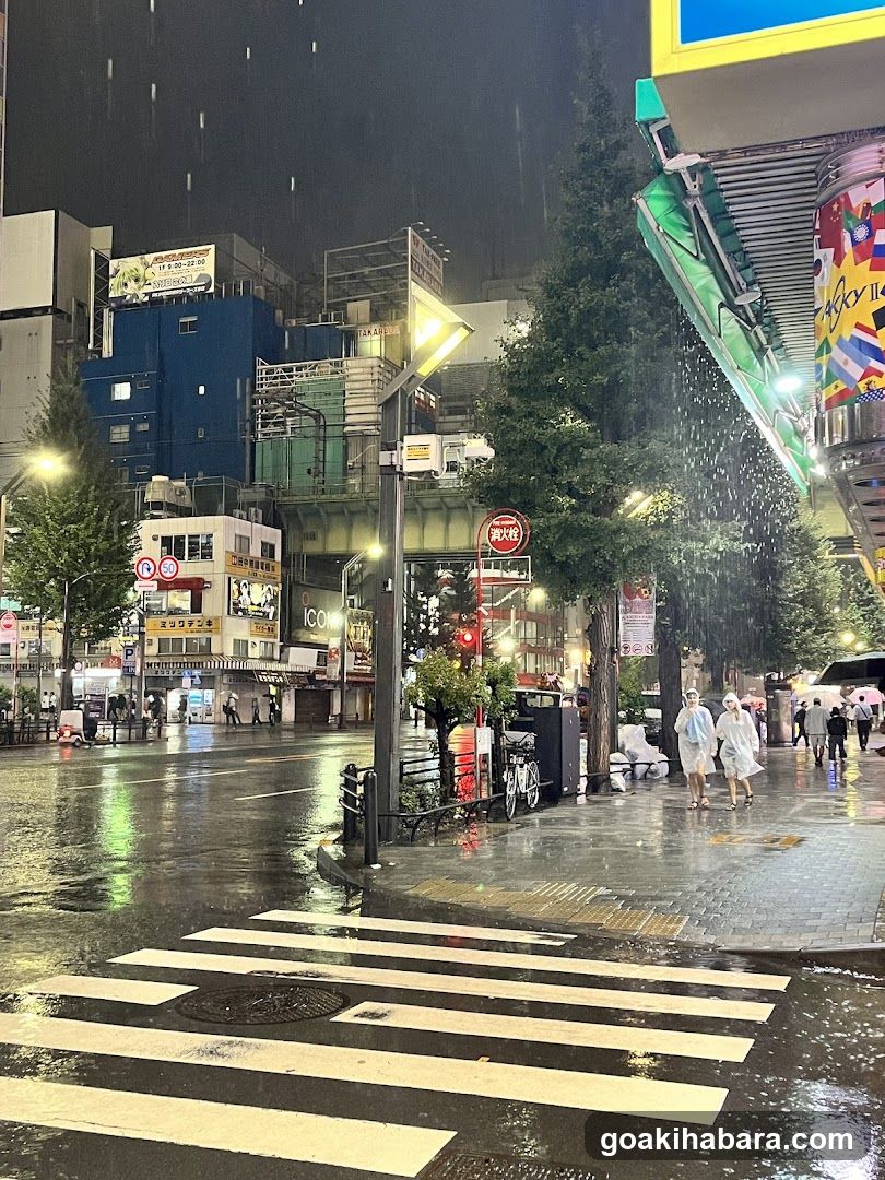 Rainy Night Street Scene