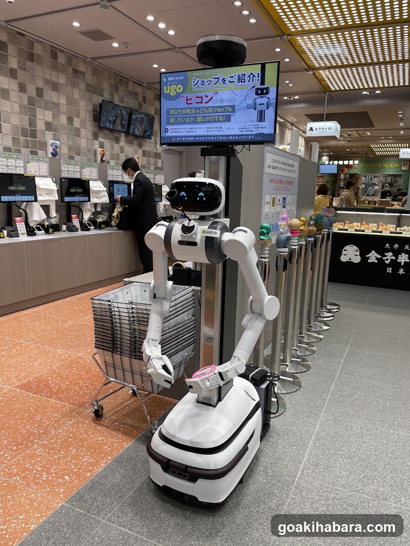 Robot in a Japanese store