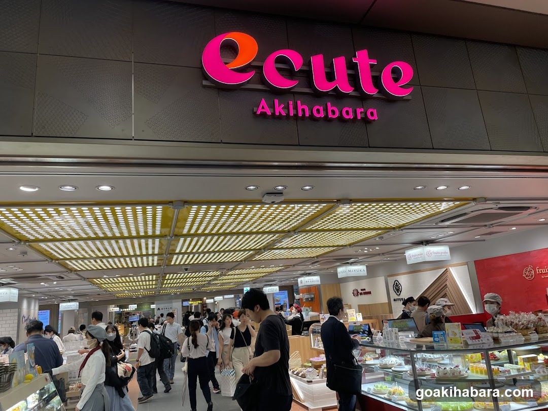 Akihabara Store Interior