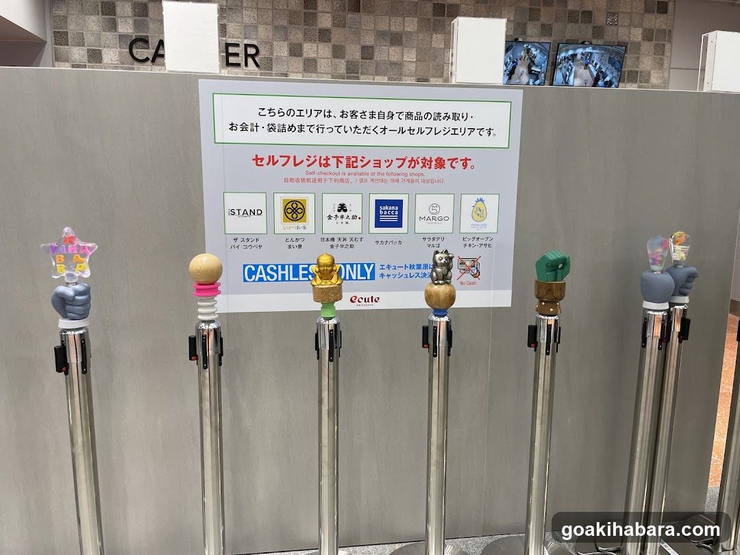 Self-Checkout Area Signage with Stanchions