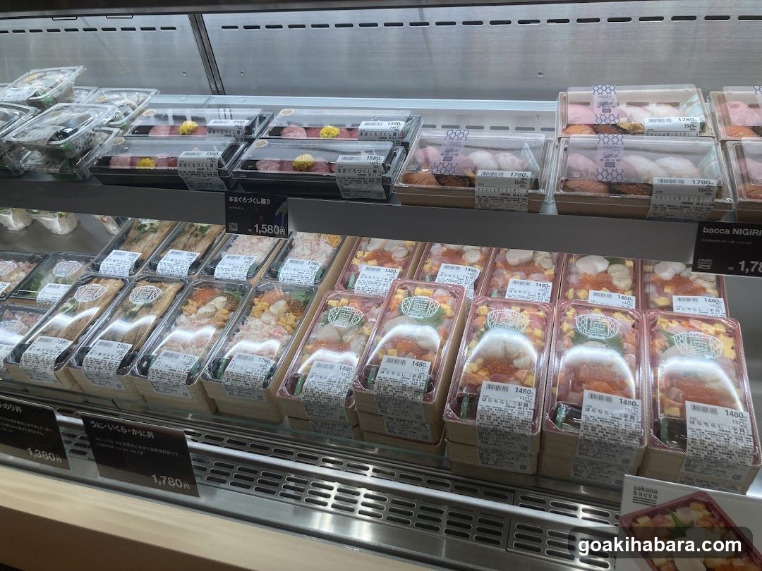 Bento Display Case