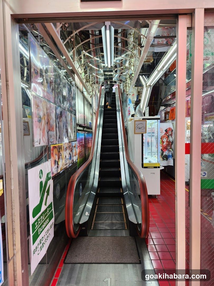 Escalator Entrance to Store