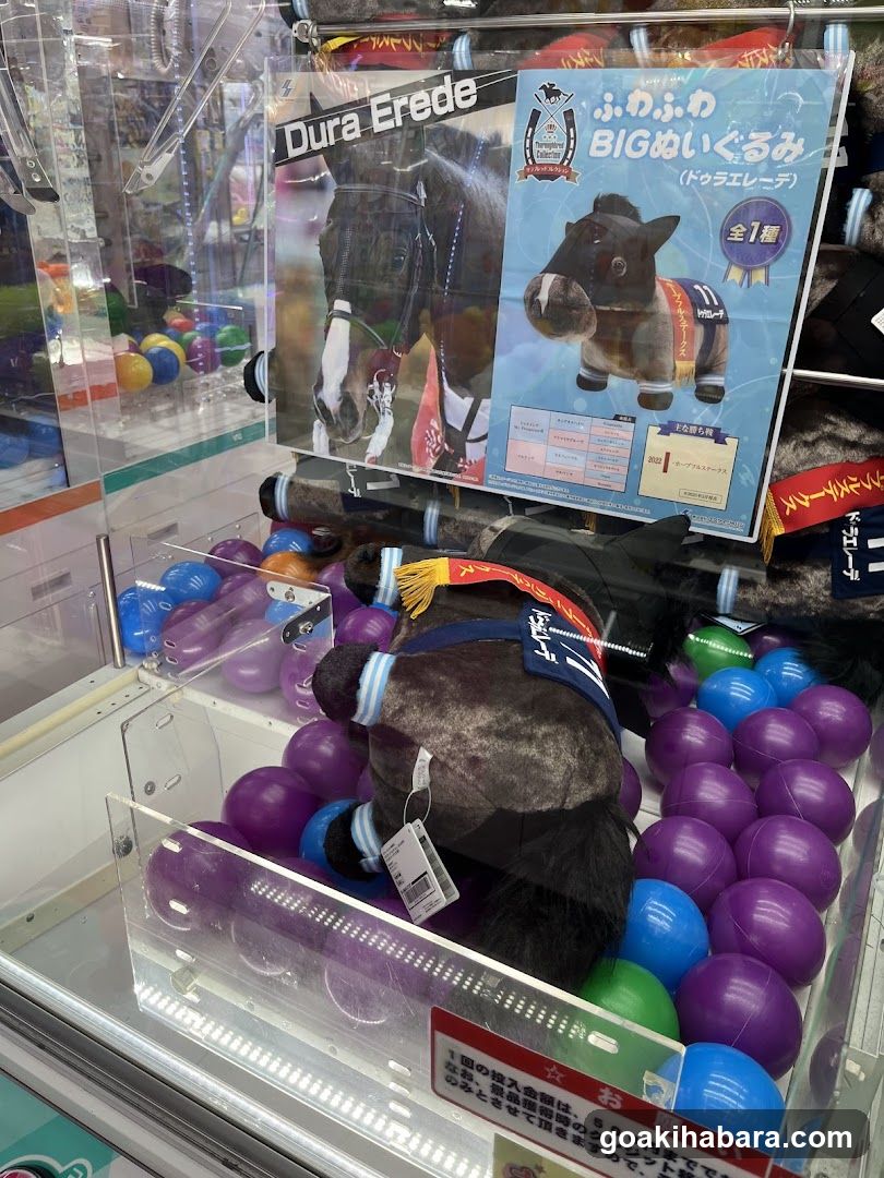 Dura Erede Prize Display