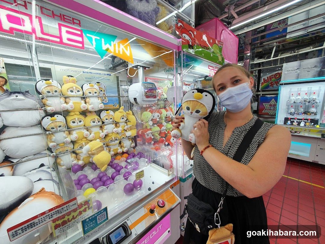 Claw Machine with Plushies