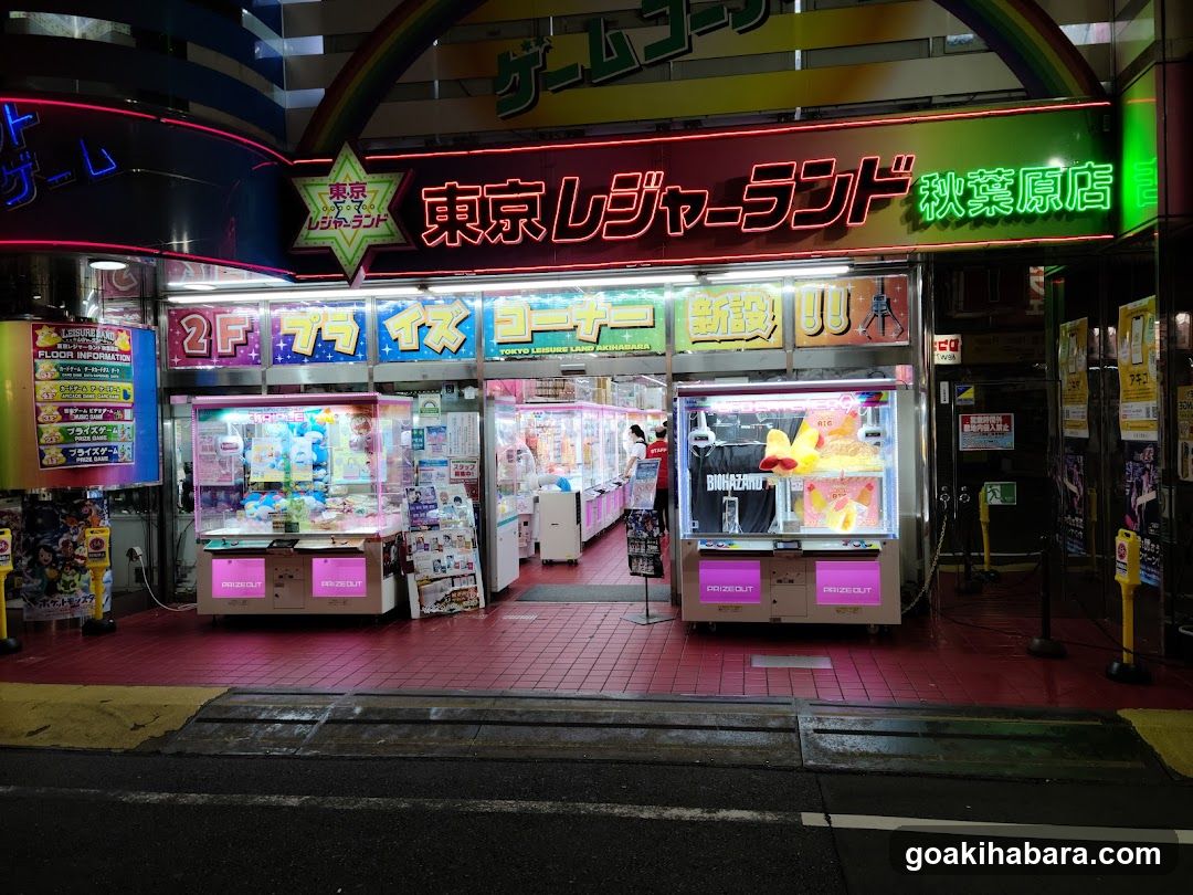 Tokyo Regain Land Akihabara Storefront