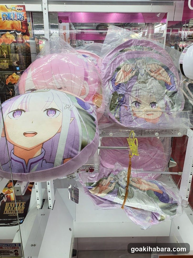 Anime Merchandise Display
