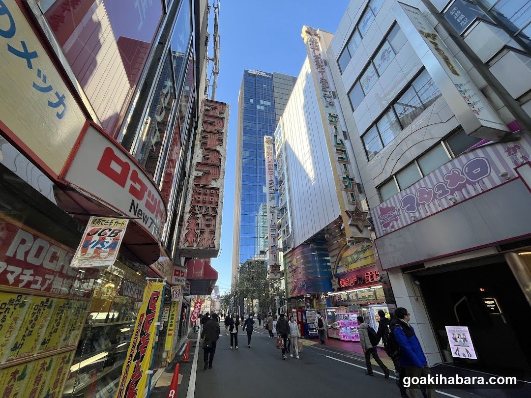 Busy Japanese Street Scene