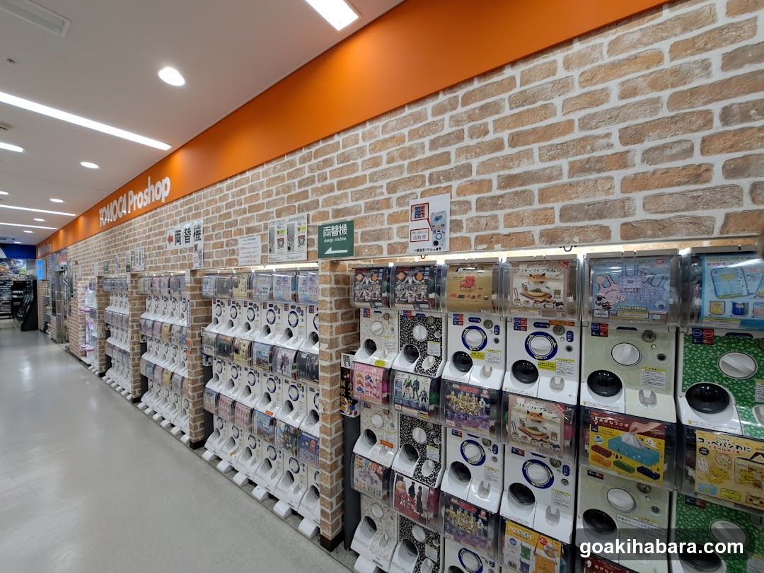 PawPal Proshop Interior